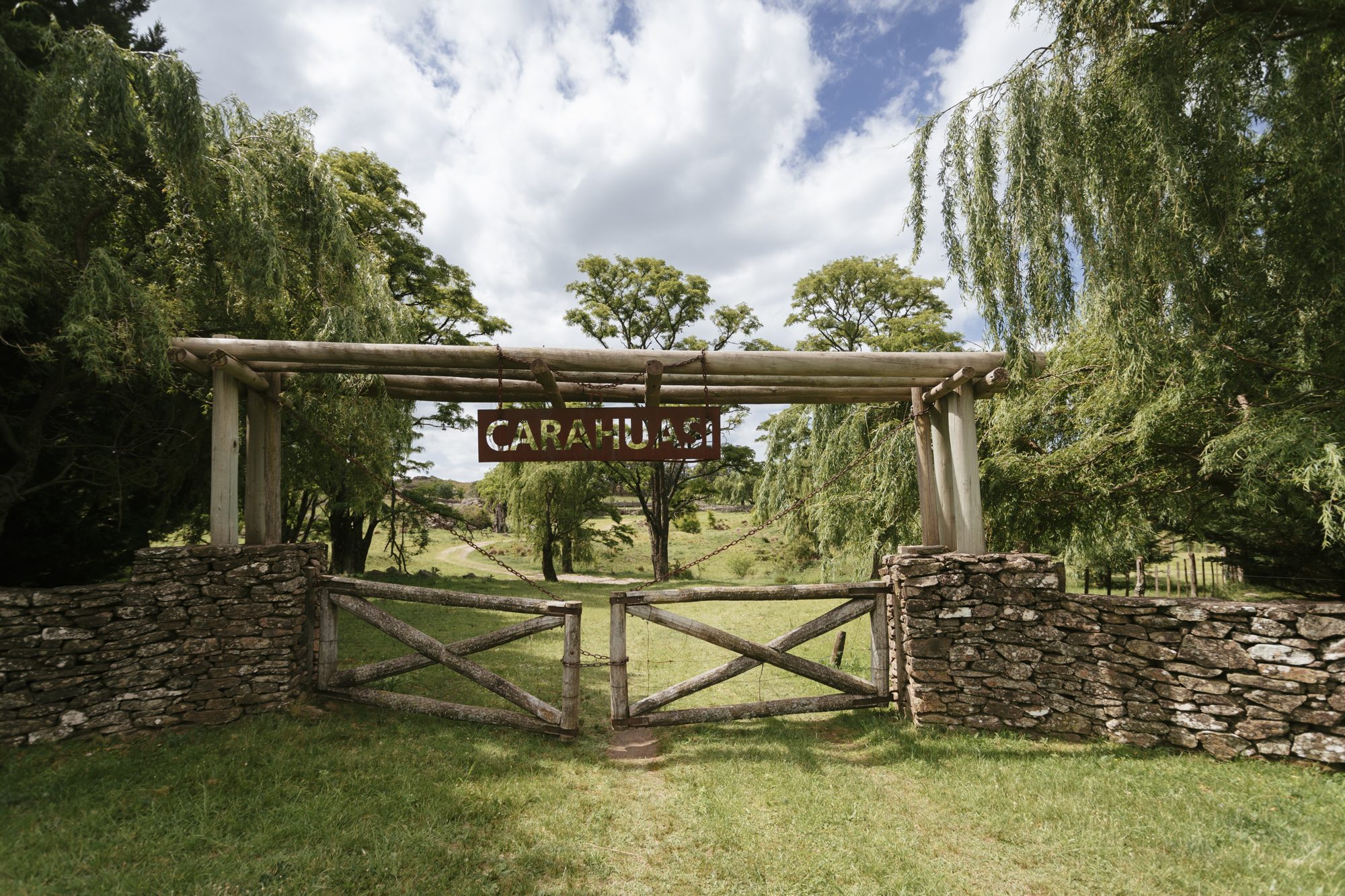 The Carahuasi gate between the willows