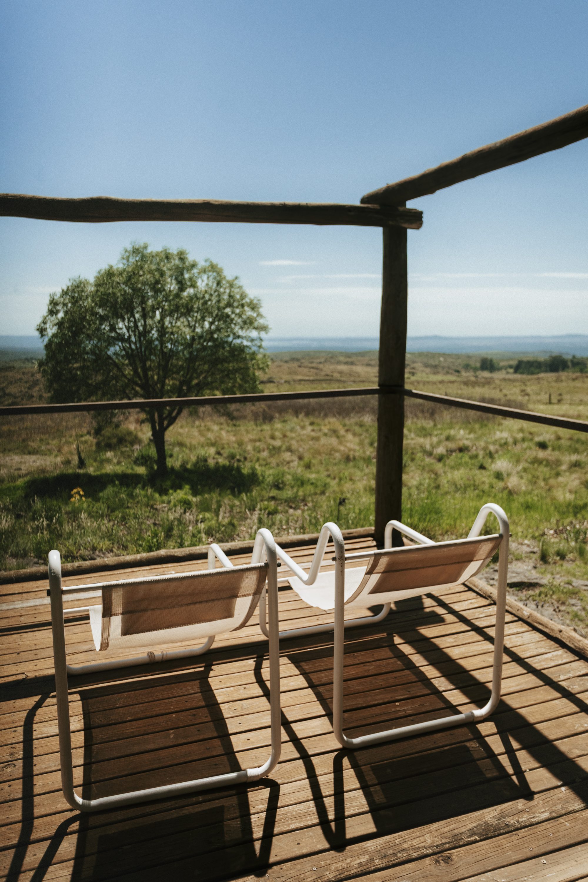 Sillas en el deck bajo el árbol, a la hora del té